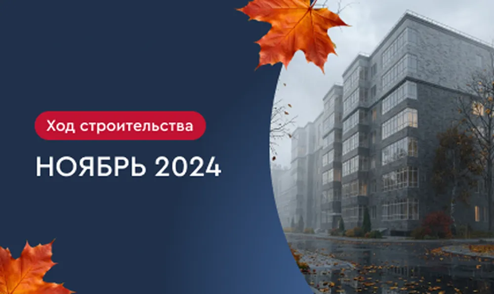 Ноябрь 2024 г.